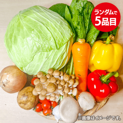 旬の野菜セット：直送