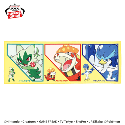 【ニャローテ＆アチゲータ＆ウェルカモ】ポケットモンスター マイクロファイバータオル