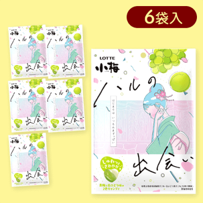 【6個入】小梅 ハルの出会い※賞味期限:2025/11/30