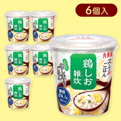 【鶏しお雑炊】スープDEごはん※賞味期限:2026/02/28