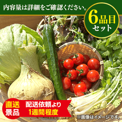 アンチエイジング！生野菜サラダセット