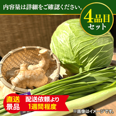 野菜餃子用　野菜セット