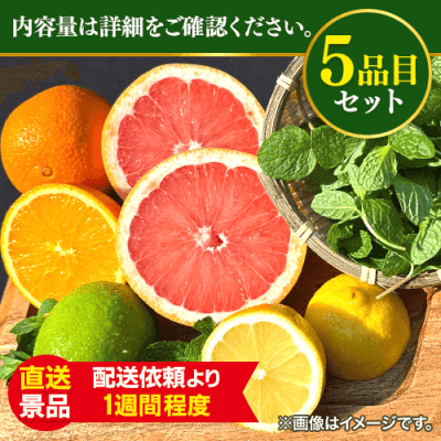 おうちで乾杯！フレッシュフルーツサワーセット