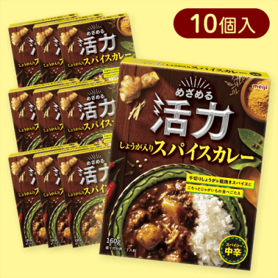 【10個入】めざめる活力しょうが入りスパイスカレー ※賞味期限:2026/11/30