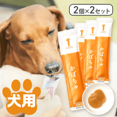 【かぼちゃ】【2個×2セット】あんちゅーぶ※賞味期限:2026/05/31