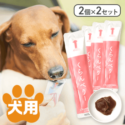 【くらんべりー】【2個×2セット】あんちゅーぶ※賞味期限:2026/05/31