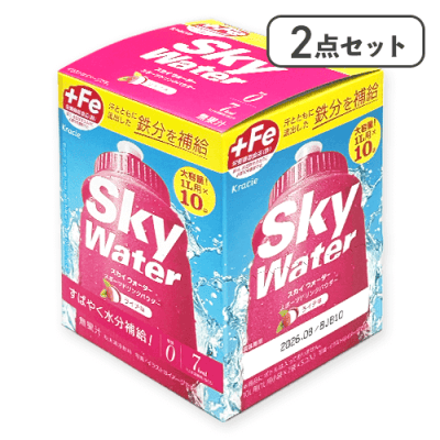 【2点セット】10Lスカイウォーターライチ箱※賞味期限:2026/12/31