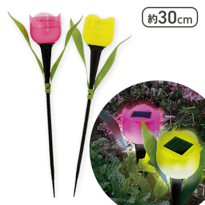 チューリップライト2P