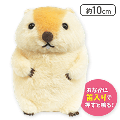 【もっとっと】マーモットのもっとっとLMC