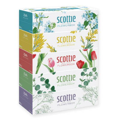 スコッティティシュー フラワーボックス250組5箱パック
