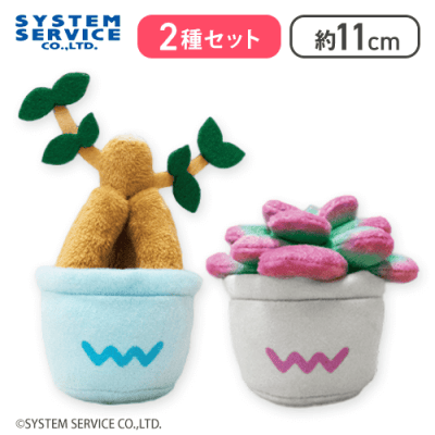 【ガジュマル＆エケベリア】FANS 観葉植物マスコットキーチェーン