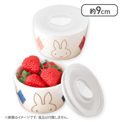 【ピンク＆ブルー】ミッフィー フードストッカーセット アーガイルver.