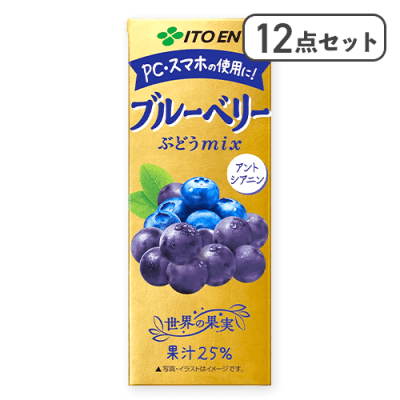 【12点セット】紙　ブルーベリー200ml※賞味期限:2026/04/07