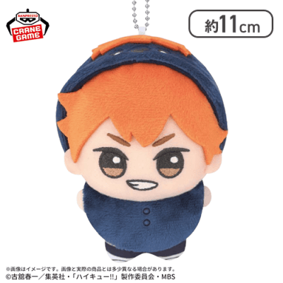 【日向翔陽】ハイキュー!! ちびぐるみ〜アニマルポンチョ〜vol.1