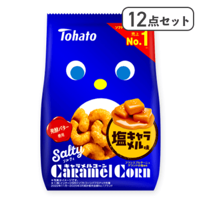 【12点セット】ソルティキャラメルコーン※賞味期限:2026/06/24