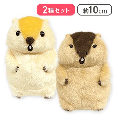 【叫ぶもっとっと＆やまもと】マーモットのもっとっとモアLMC