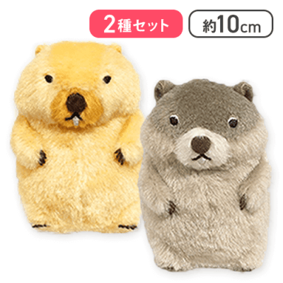 【ボバくん＆チャンキー】マーモットのもっとっとモアLMC