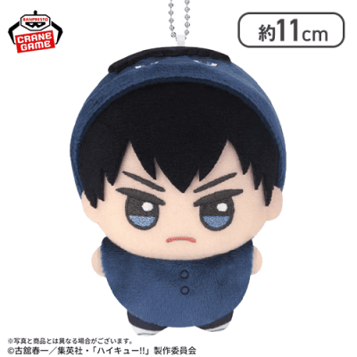 【影山飛雄】ハイキュー!! ちびぐるみ〜アニマルポンチョ〜vol.2