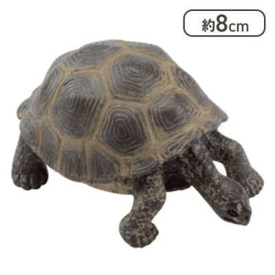 【ガラパゴスゾウガメ】ミニチュアプラネット EX1