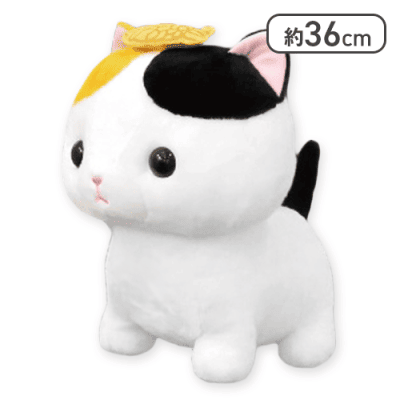 【きんぎょ】ちんまりマンチカンお気に入りウルトラBIG