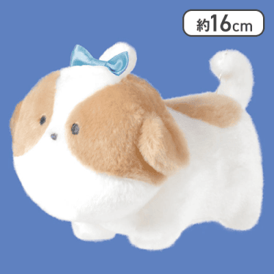 【しーずー】つぶらな瞳の犬 しっぽぶんぶん