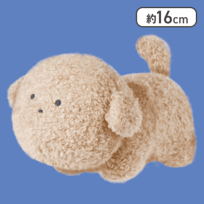 【といぷーどる】つぶらな瞳の犬 しっぽぶんぶん