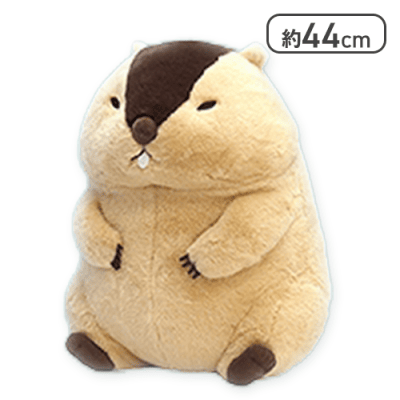 【はまもと】マーモットのもっとっとマモ座りウルトラBIG