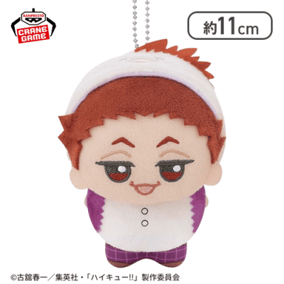 【天童覚】ハイキュー!! ちびぐるみ〜アニマルポンチョ〜vol.3