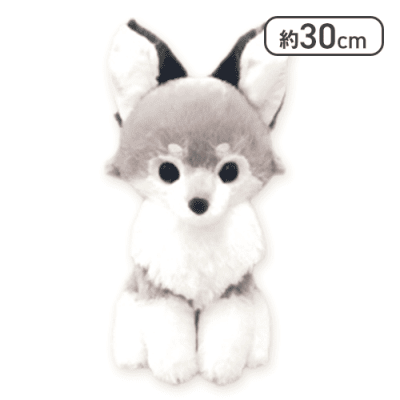 【ホロウ】アマテラスのオオカミJB