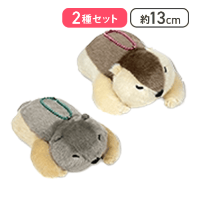 まもち(すやすや)＆おもち】Dr.マーモットまもちおもプクのぺたーん