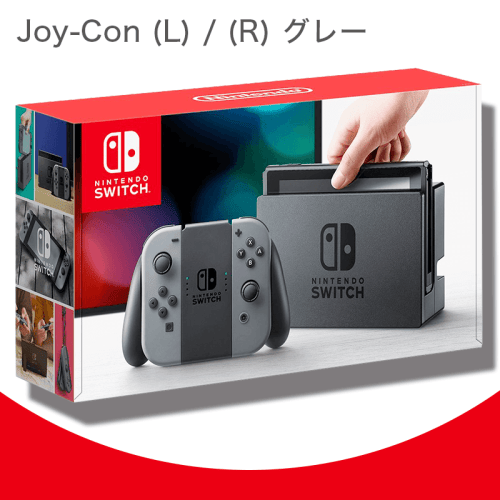 【数量限定】Nintendo Switch (Joy-Con (L) / (R) グレー)