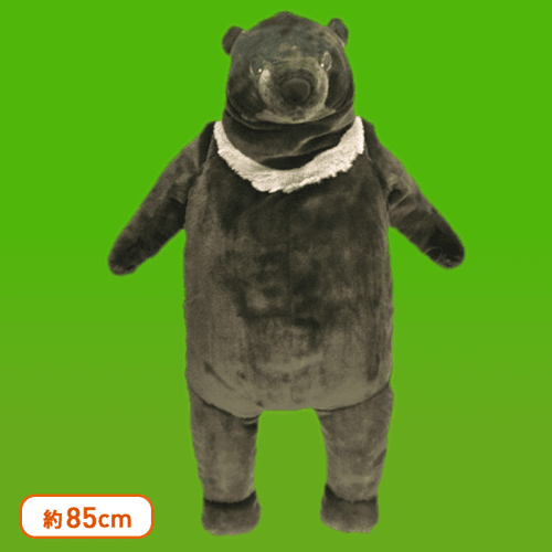 ツキノワグマ BIGぬいぐるみ | オンラインクレーンゲーム「クラウド