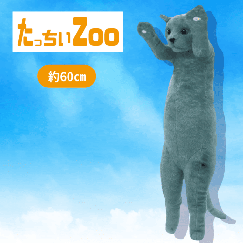 【ロシアンブルー】たっちぃZooにゃんこ