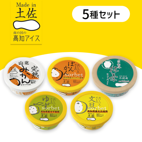 【5個入】シャーベット食べ比べセット