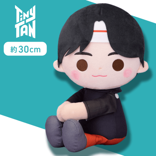 【Jin】TinyTAN　くっつきぬいぐるみ〜MIC Drop〜“RM＆Jin”