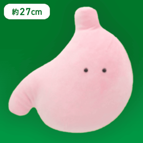 【い】FANS もちもちにんげんのからだぬいぐるみBIG