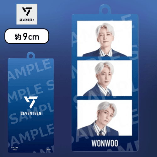 【WONWOO】SEVENTEEN　モアプラスアクリルキーチェーン