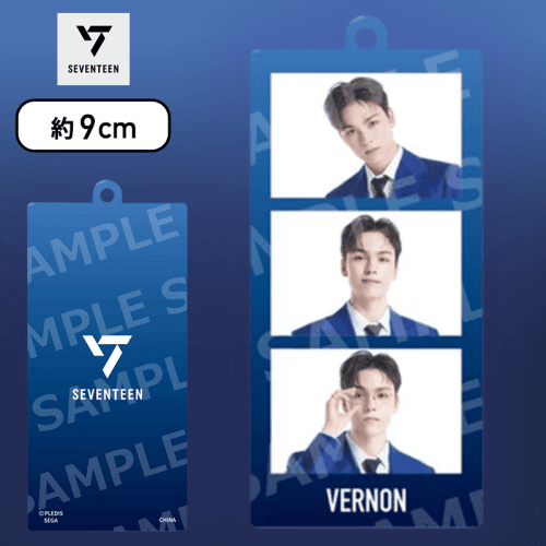 【VERNON】SEVENTEEN　モアプラスアクリルキーチェーンVol.2