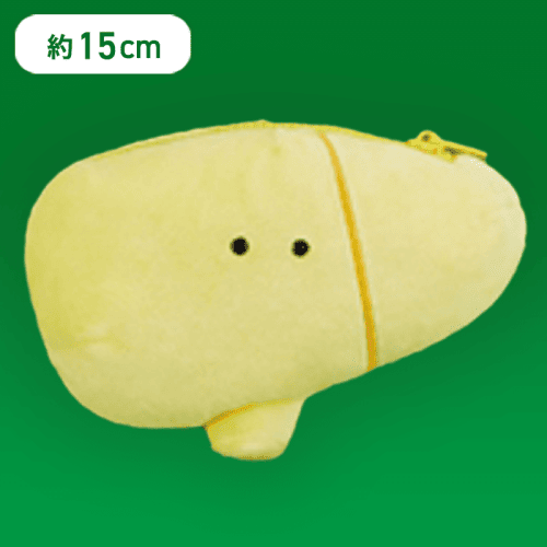 【かんぞう】FANS にんげんのからだぬいぐるみポーチ