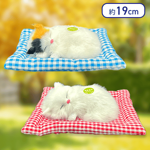 【ミケねこ＆しろねこ】至福のニャン寝