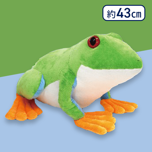 【アカメアマガエル】ぴょこんとアマガエルポイズンウルトラBIG