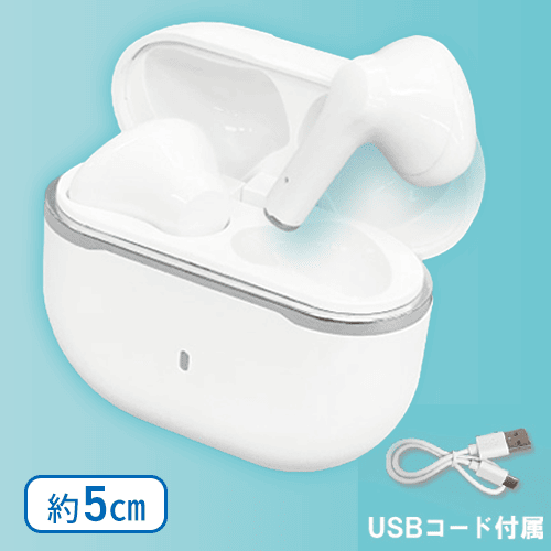 ケースチャージBluetoothイヤフォンTouch4