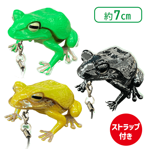 【ブラック&グリーン&イエロー】生物図鑑キッズシリーズ　リアルカエル3
