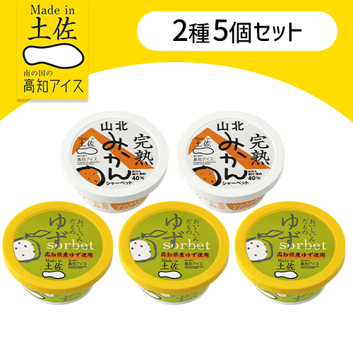 【5個セット】高知の特産シャーベット