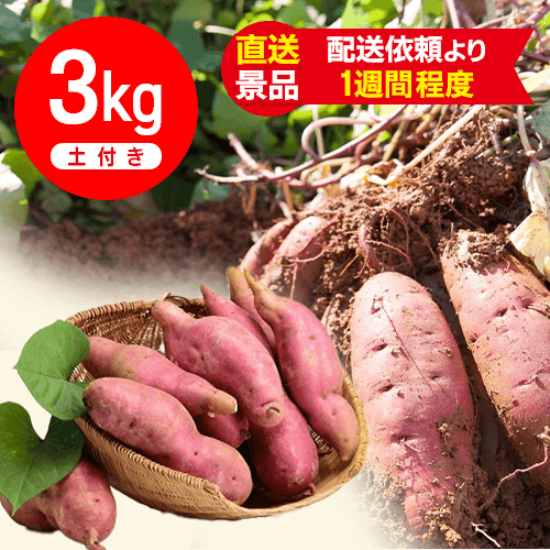 生芋 3kg 箱入り土付き