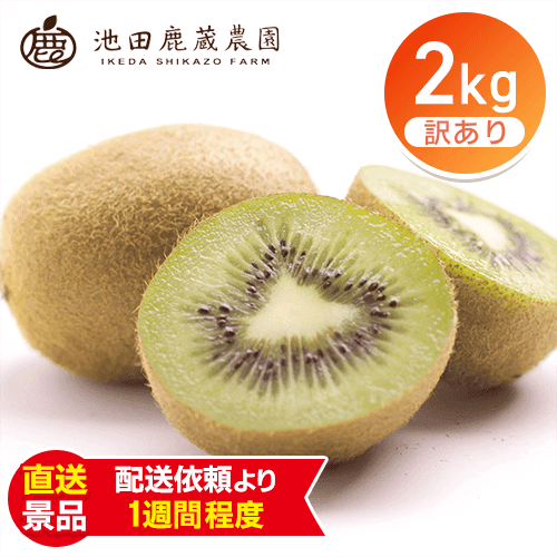 わけありキウイフルーツ2kg