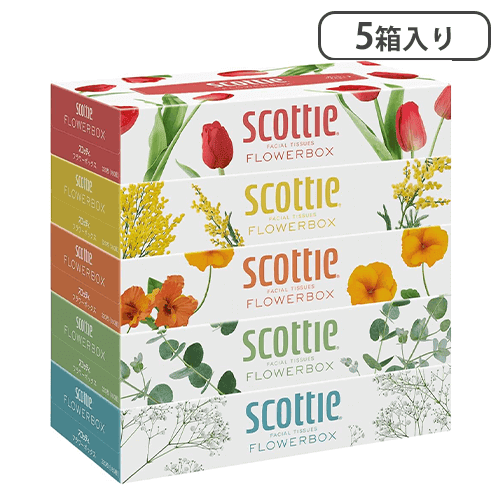 スコッティティシュー フラワーボックス 5箱パック