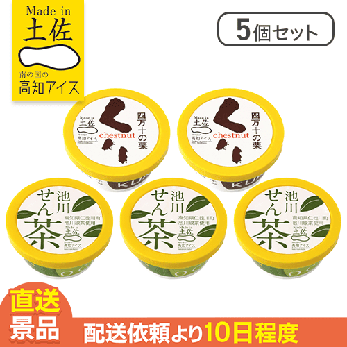 【5個セット】高知の隠れ名産アイス