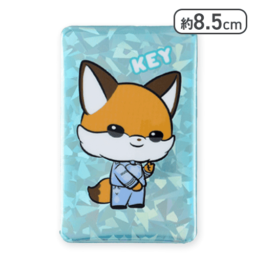 【KEY(長方形)】SHINee ANIMAL COORDY 缶バッジ