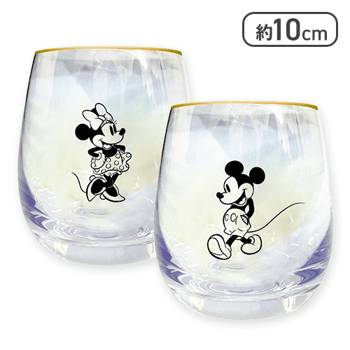 ディズニー オーロラグラス2Pセット